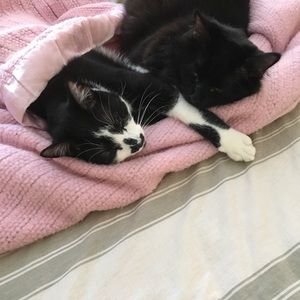 Meet your Posher, Mary